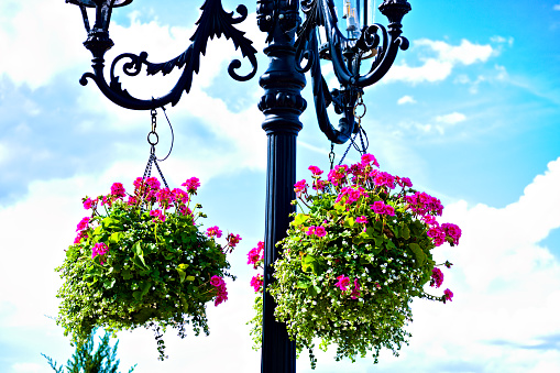 Close up. Beautiful flower baskets hanging on the street light. Created in Orlando, FL, 02/23/2020