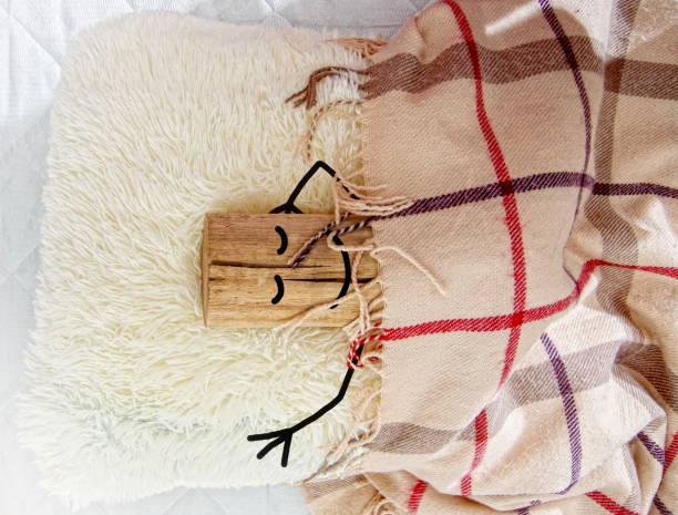 sleep like log a rough piece of wood with a painted face and hands sleeping in bed on a pillow under a clothe embodying the phrase - sleeping like a log. Or a log in bed sleeping like a log stock pictures, royalty-free photos & images
