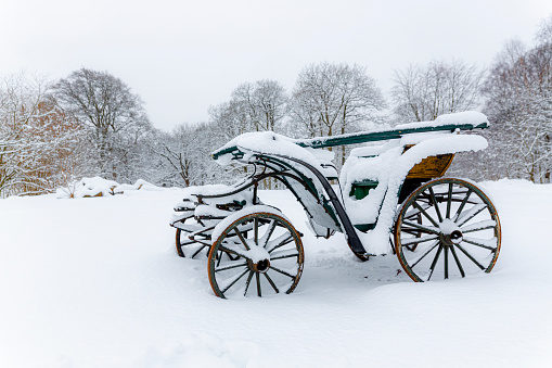 Snowembrasedhorse carriage, against a white wall of snow with blistering branches