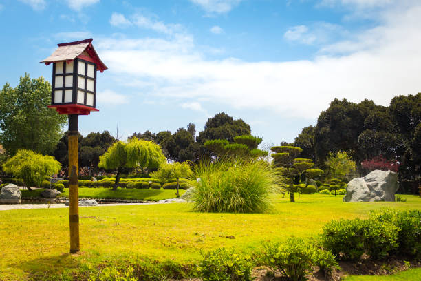 parque jardon de corazín en la serena - coraz fotografías e imágenes de stock