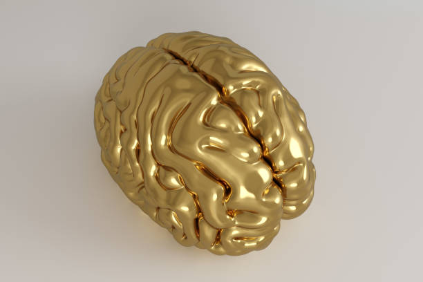 istock Golden brain with soft shadows on white floor. 1226827270