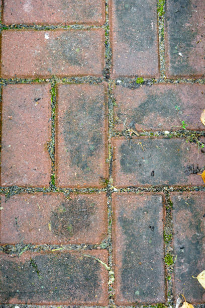 istock Stone walkway red bricks floor texture with moss. Old street pavement 1226829458