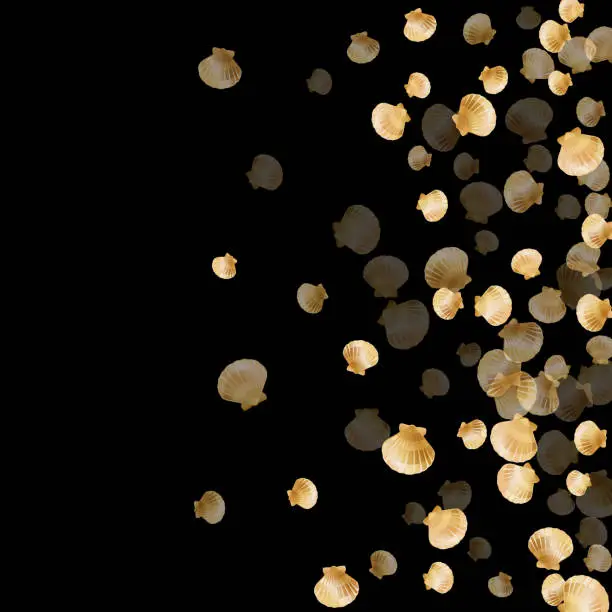 Vector illustration of Gold seashells vector, golden pearl bivalved mollusks.