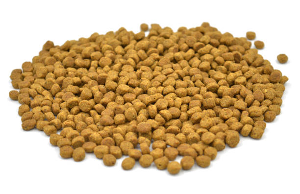 istock Heap of dry cat food 1226836111