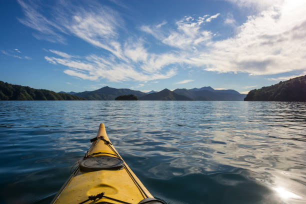 Sea Kayaking in Marlborough Sounds
