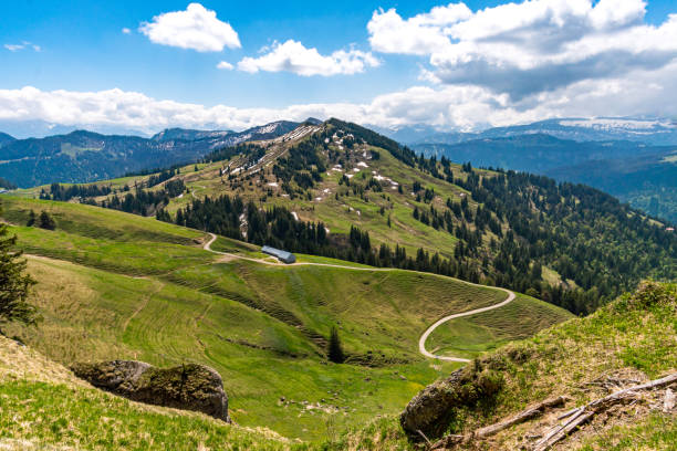 Fantastic mountain tour to the Siplingerkopf and Heidelbeerkopf from the Gunzesried valley in the Allgau Alps