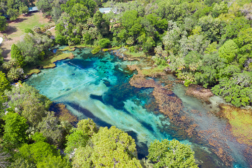 An aerial drone view of Rainbow Springs, Florida.