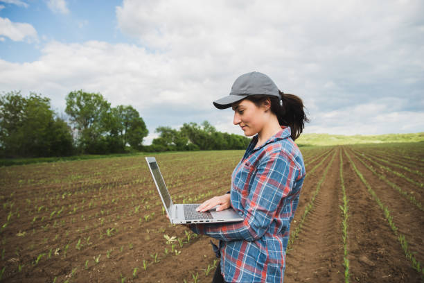istock Young Woman Agronomist Using a Tablet in an Agricultural Field 1226844741