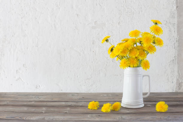istock dandelions in white jug on background white wall 1226844818
