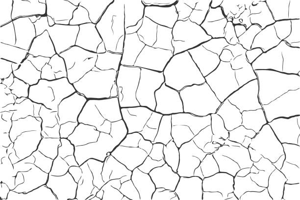 마른 토양 표면 지상 균열 배경 텍스처 벡터 일러스트 화이트와 블랙 - dirt eroded nature abstract nature stock illustrations