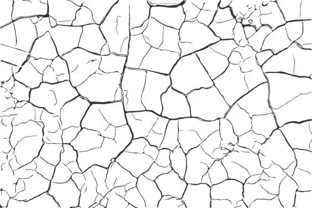 Vector illustration of Dry soil surface ground cracks background texture vector illustration white and black
