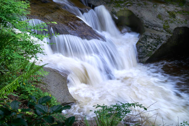 istock Cliff Falls Kanaka Creek Park 1226846219