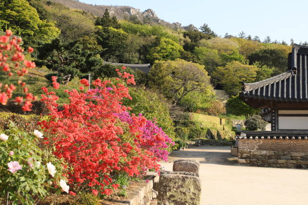 istock Mihwangsa temple in chulanamdo 1226846850