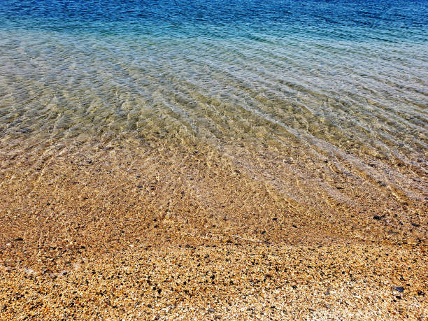istock Gentle waves and crystal clear water on the beach 1226849379