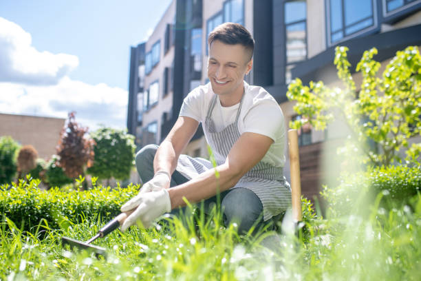 istock Smiling dark-haired male in protective gloves and apron crouching, raking grass 1226850362