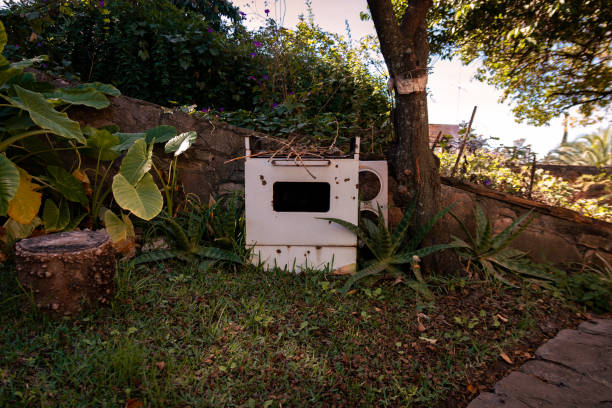 Artifact found in disrepair amongst a herb garden