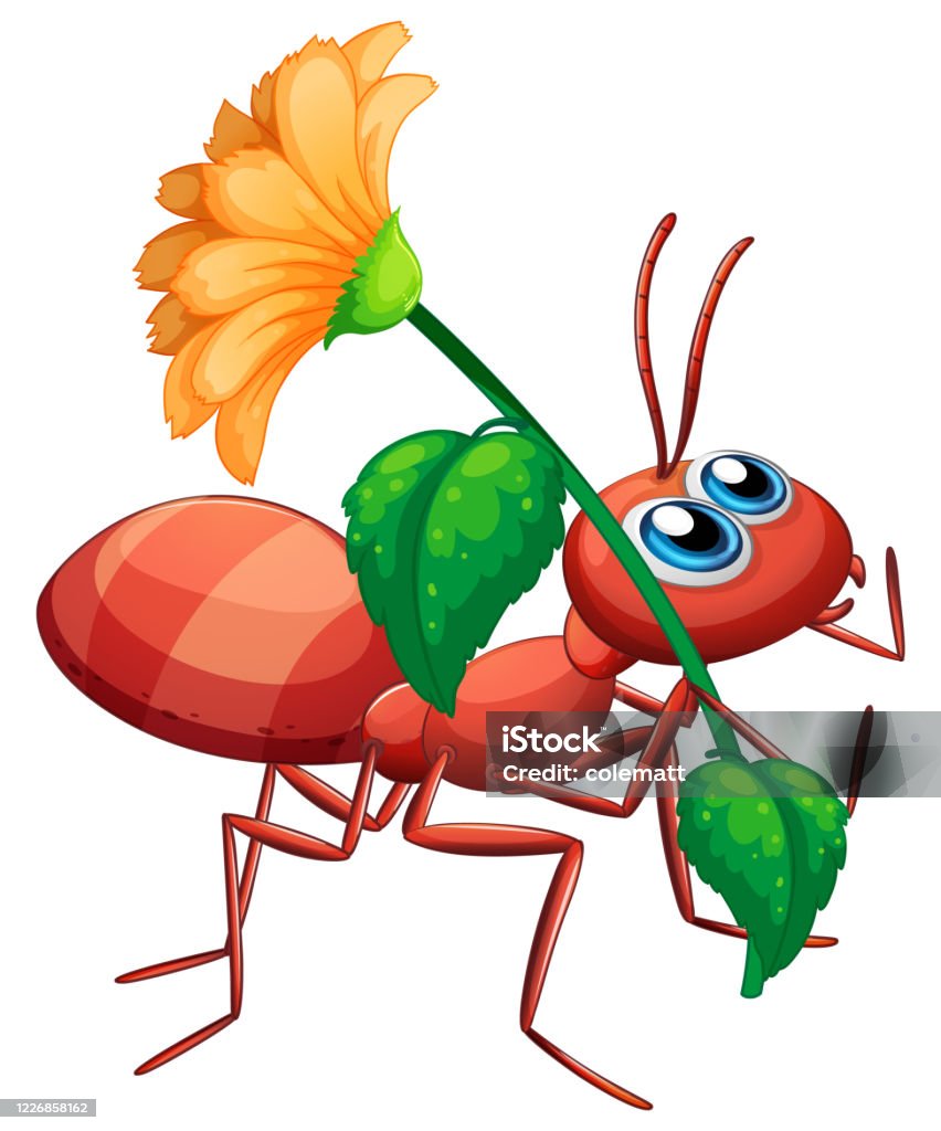 Nhân Vật Hoạt Hình Kiến Dễ Thương Cầm Hoa Màu Vàng Trên Nền Trắng ...