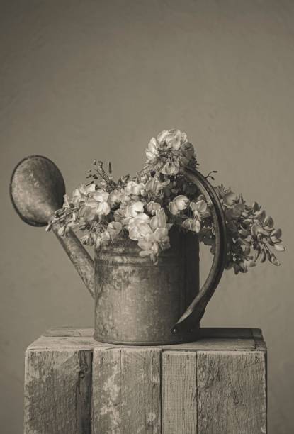 istock The flowers in the watering can 1226860408