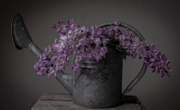 istock The flowers in the watering can 1226860410
