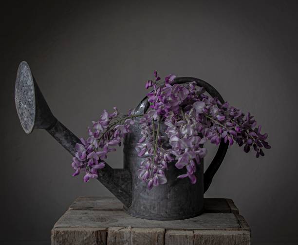 istock The flowers in the watering can 1226860415