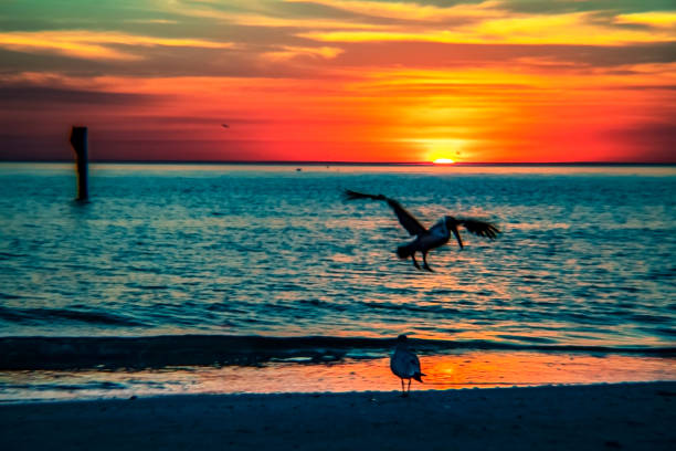 istock sunset over the sea 1226860529