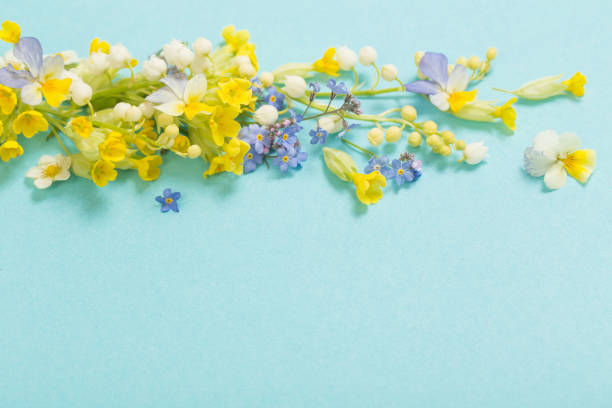 istock wild flowers on paper  background 1226863316