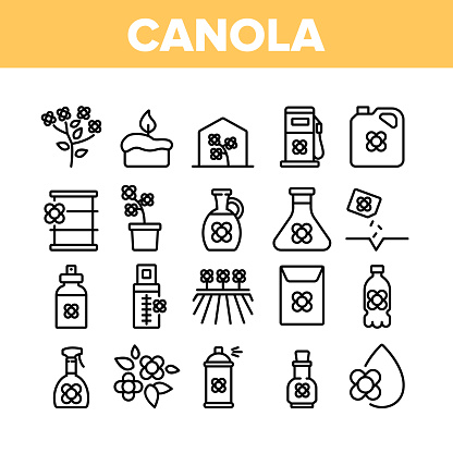 Canola Agricultural Collection Icons Set Vector. Canola Agriculture Flower Field And Pot, Oil And Spray, Greenhouse And Seeds Concept Linear Pictograms. Monochrome Contour Illustrations