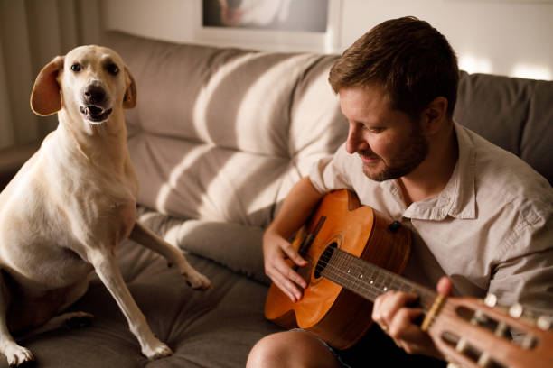 istock Dog doesn't like the music his owner playing 1226867880