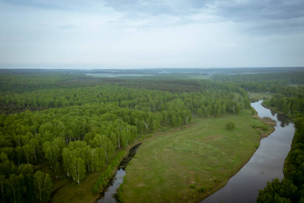 istock Morning in nature with a river, fields, trees. Aerial view. 1226868658