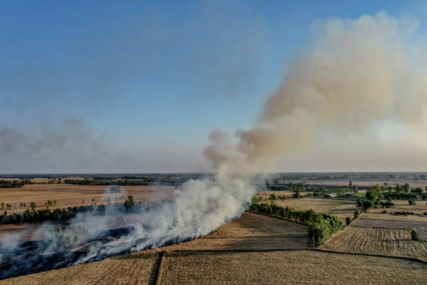 istock Burning fields in Thailand. Smoke and burnt grass on the field. 1226870147