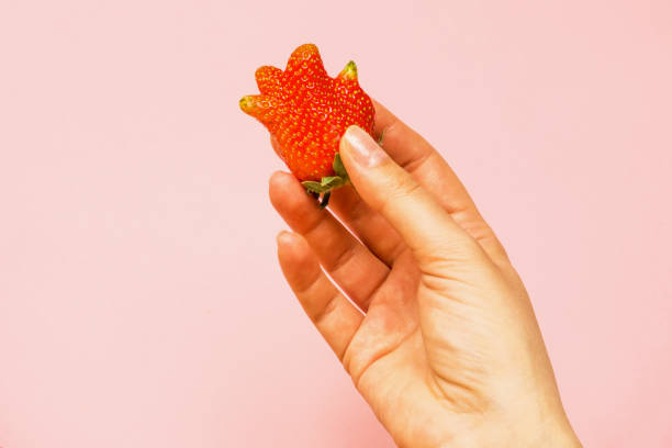 istock Ugly food: unusual strawberry in a woman hand 1226872915