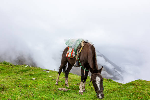 istock Salkantay Trekking in Peru, South America 1226876709