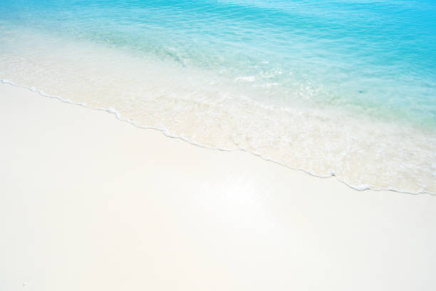 istock Soft wave of turquoise sea on sandy beach 1226877955
