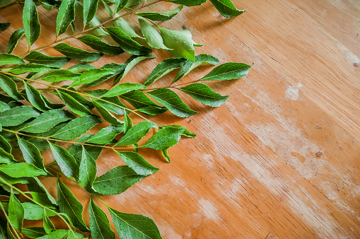 fresh curry leaves used in gujrathi Kadhi an Indian food dish with wooden background and selective focus and top view.