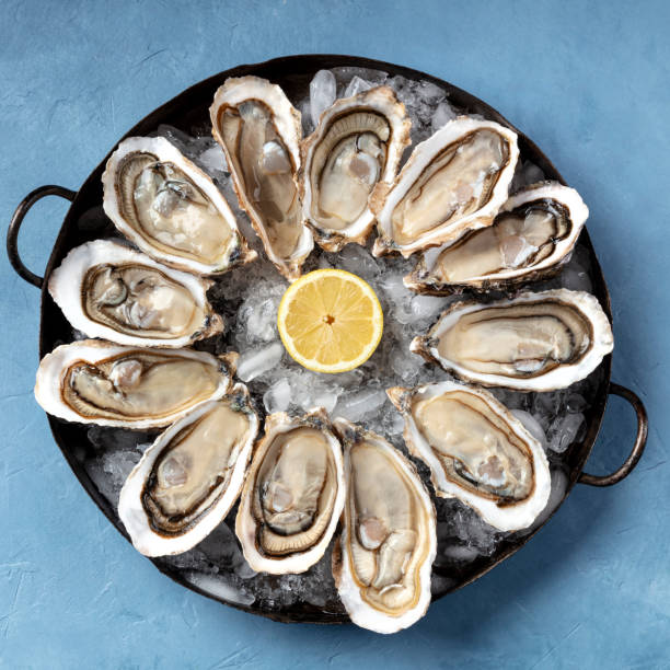 istock A dozen of oysters on ice, with a lemon, overhead square shot 1226879173