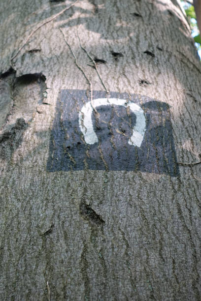 istock Horseshoe acronym signage on a tree trunk in a forest for horse riding 1226879926