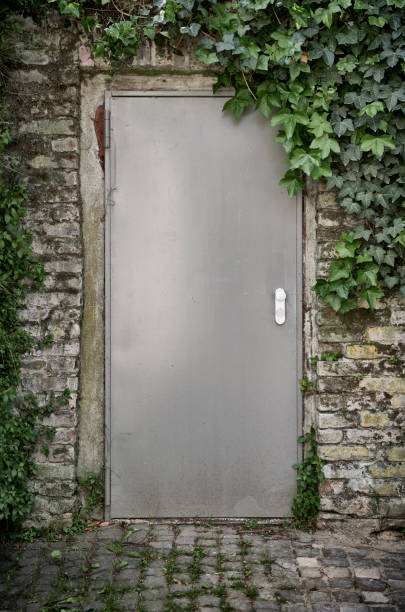 istock Steel door and brick wall covered with wild vine 1226880271