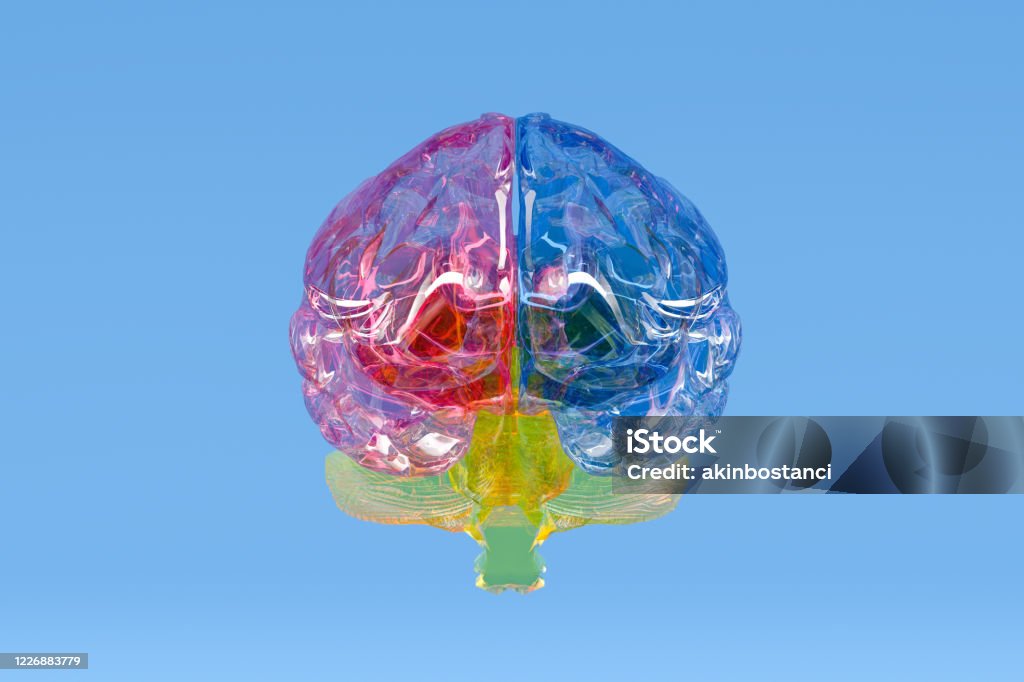 Brain Computer Transparent Brain Transparent Artificial Intelligence Concept Stock Photo ...