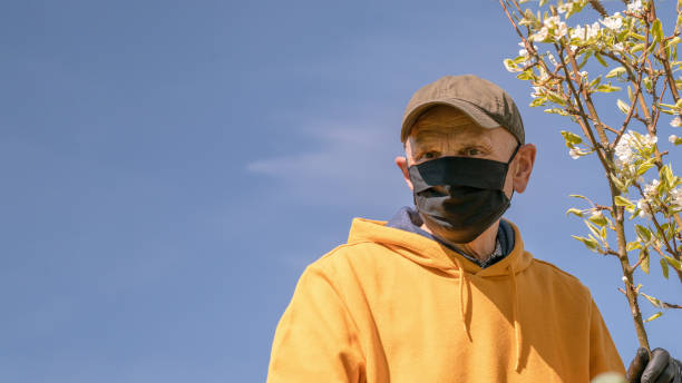 istock senior man in black mask and brown cap holds tree closeup 1226887843