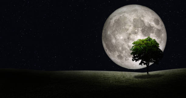 istock Full Moon in space with green tree on green grass field. 1226889217