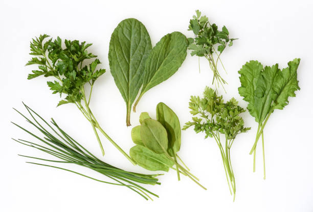 istock Frankfurter, green, sauce 1226889499