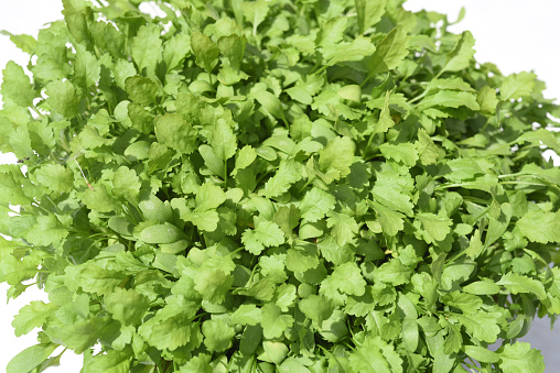 Garden cress, Lepidium sativum, is an important medicinal and medicinal plant. The herb is also used in the Frankfurt green sauce.