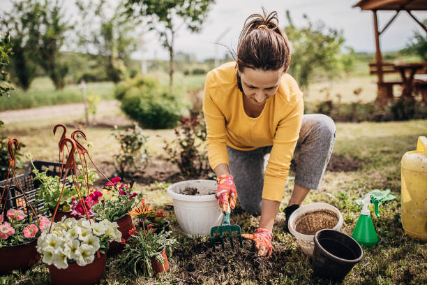 istock Female Potting Flower Plants In Backyard 1226894639