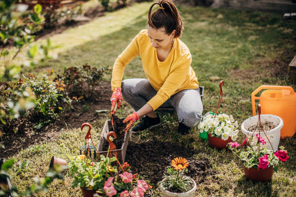 istock Female Potting Flower Plants In Backyard 1226895606