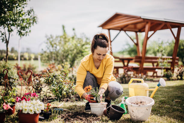 istock Female Potting Flower Plants In Backyard 1226895659