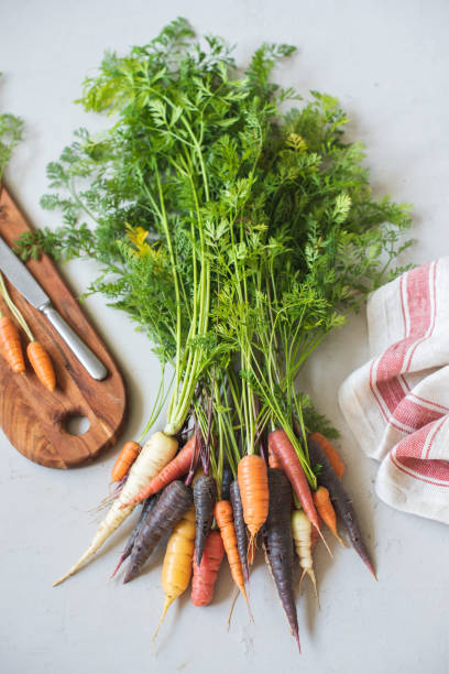 istock Multicolored home grown fresh organic carrots with green leaves 1226896081