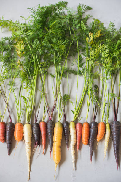 istock Multicolored home grown fresh organic carrots with green leaves 1226896213