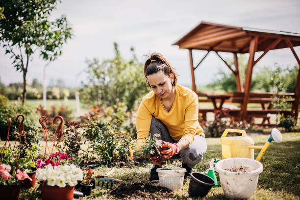 istock Female Potting Flower Plants In Backyard 1226896282