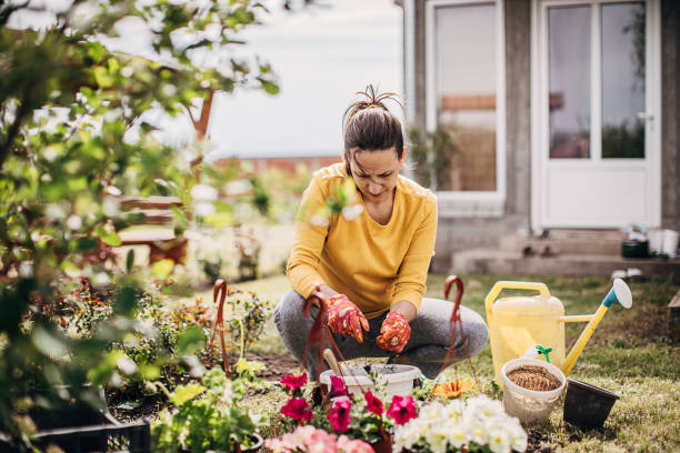 istock Woman Potting Flower Plants In Backyard 1226896742