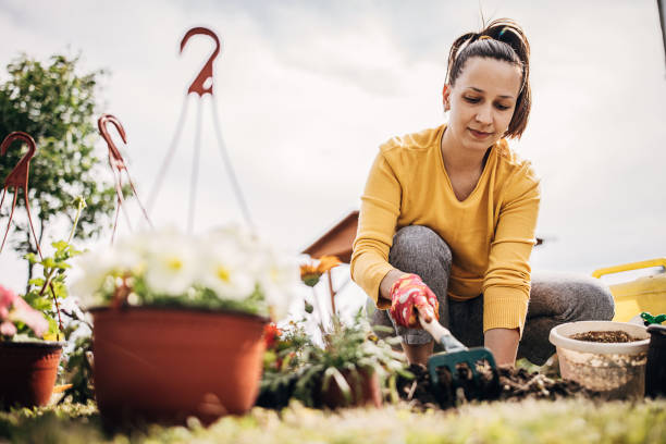 istock Woman Potting Flower Plants In Backyard 1226897082